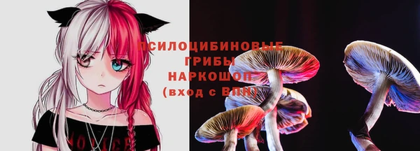 MDMA Богородицк