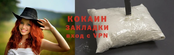 сатива Богданович
