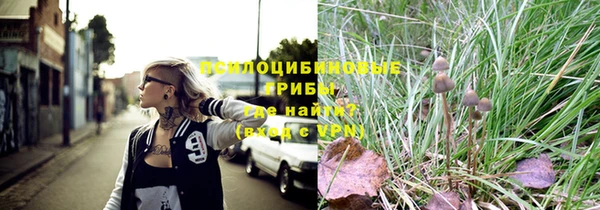 герыч Богородск