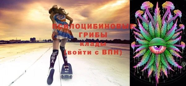сатива Богданович