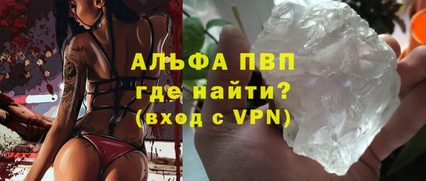 сатива Богданович